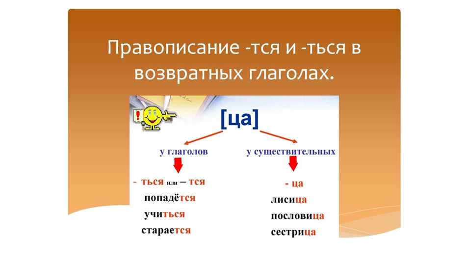 Корень русского языка в 4 классе: понятие и примеры