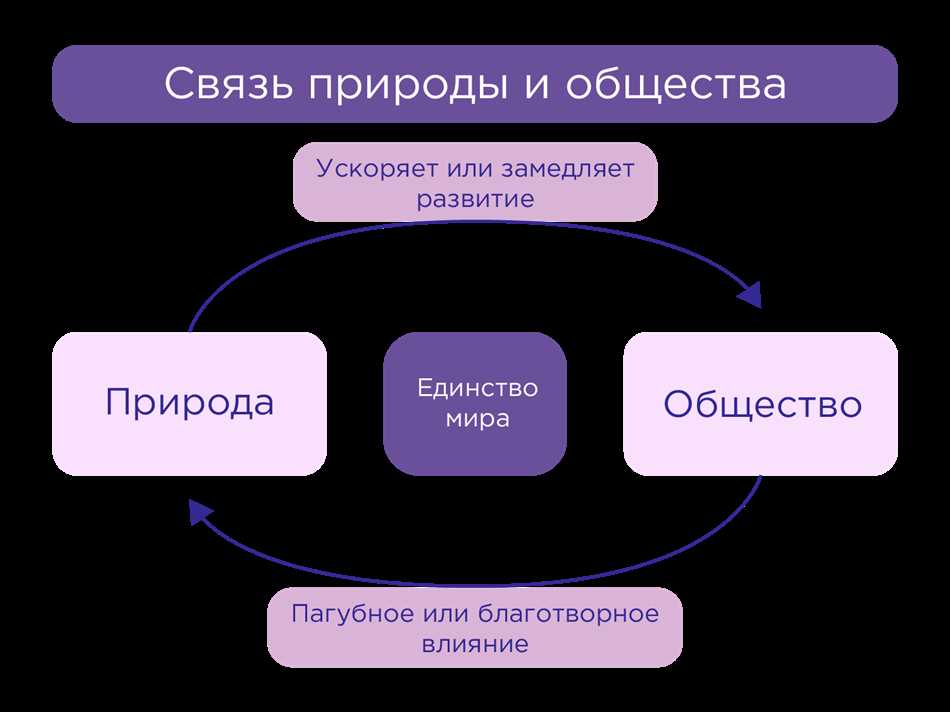 Культура и природа: взаимосвязь и влияние