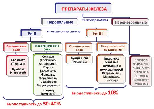 Лечебная сыворотка в биологии: эффекты, применение и преимущества