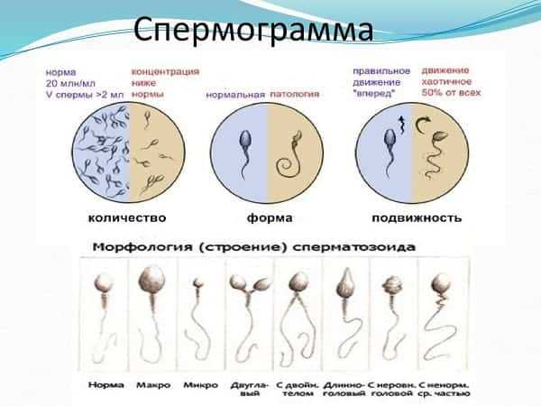 1. Консультация врача