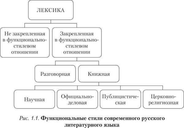 Лексическое языковое средство: понятие и примеры