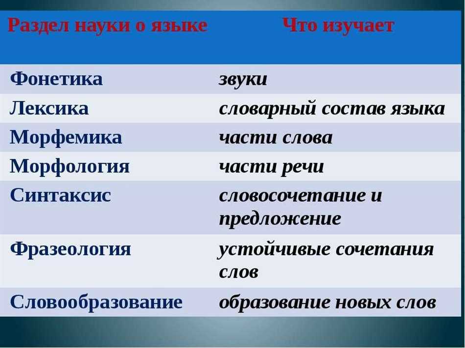 Лексика и фразеология в русском языке: определение и особенности