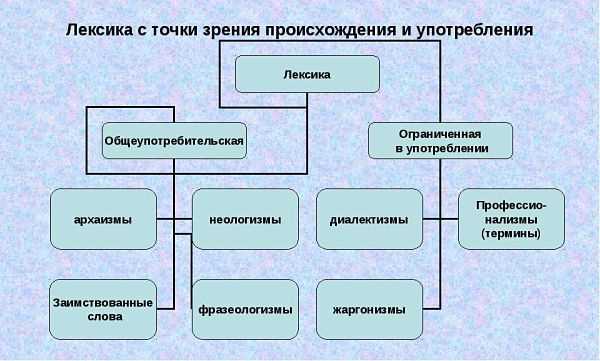 Лексика по русскому языку для 6 класса: основные понятия и правила