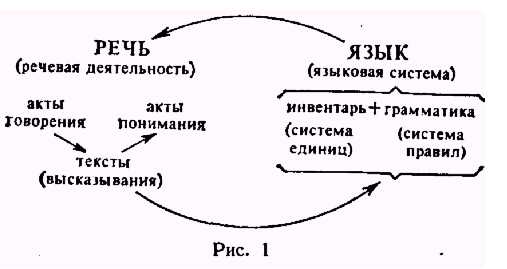 История развития лингвистики