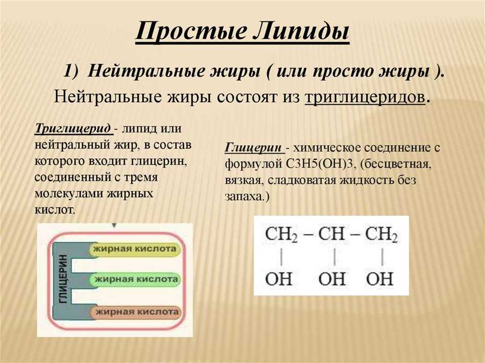 Классификация липидов