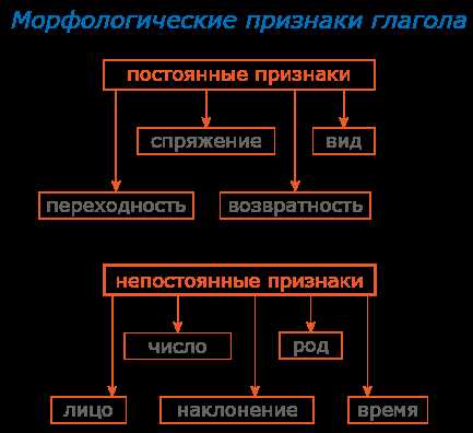 Лицо глагола в 5 классе: понятие и особенности