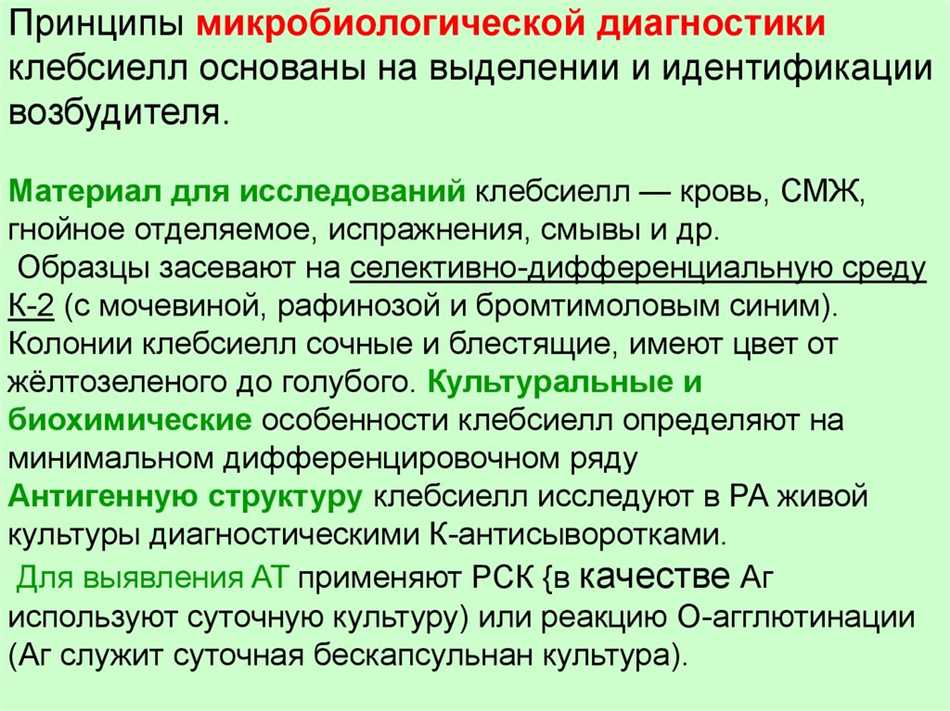 МПБ микробиология: основные понятия и принципы исследования