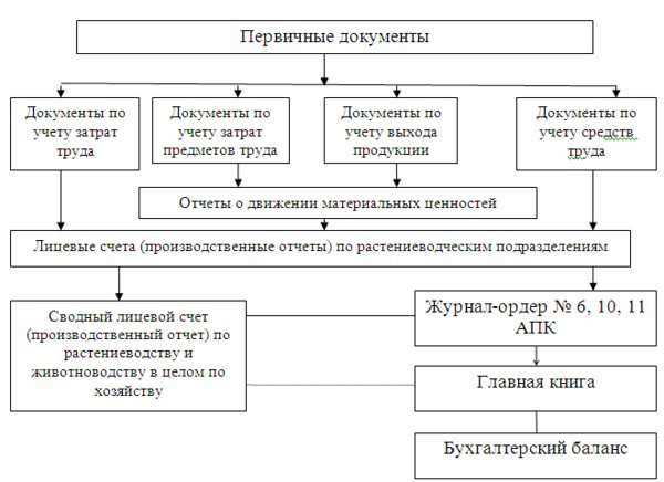 2. Принцип непрерывности