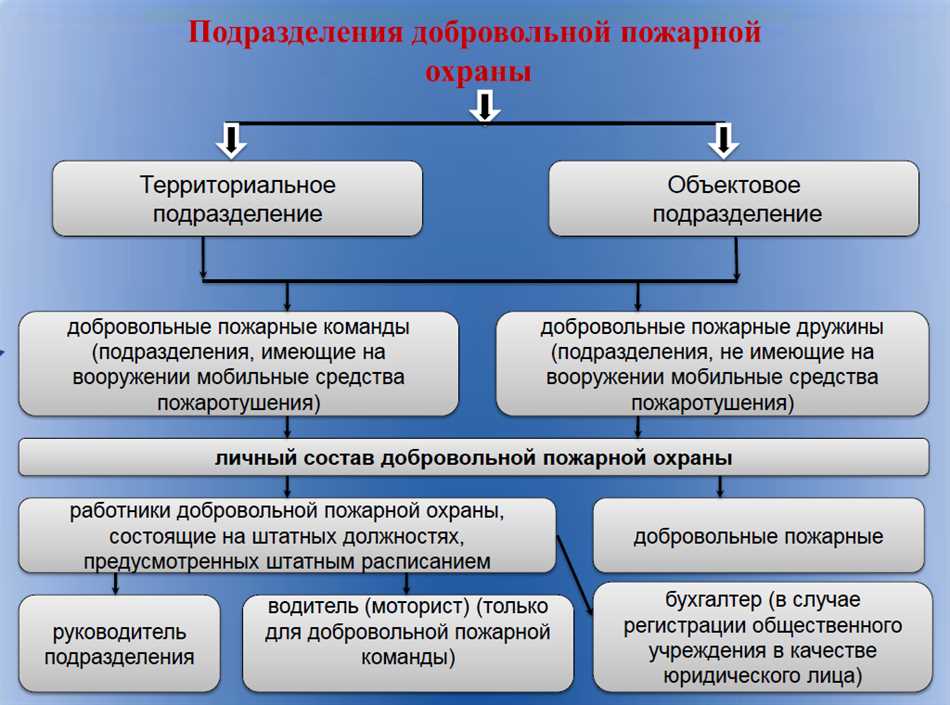 Муниципальная пожарная охрана: определение, функции и задачи