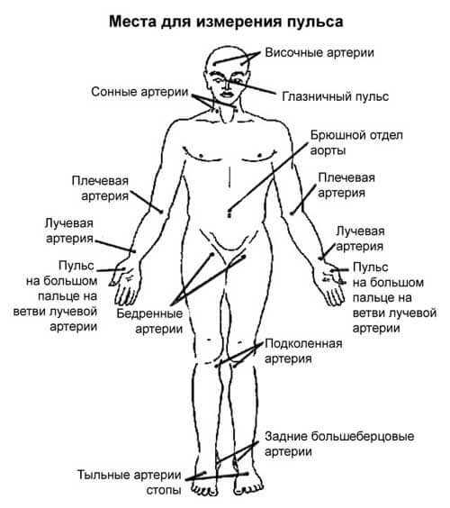 Напряжение пульса: понятие и значение