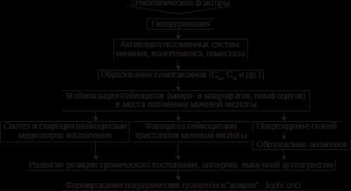 Нарушение белкового обмена: причины, симптомы, лечение