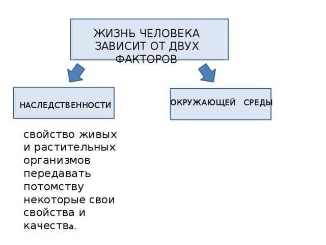 Наследственность в обществознании 6 класс: понятие и особенности