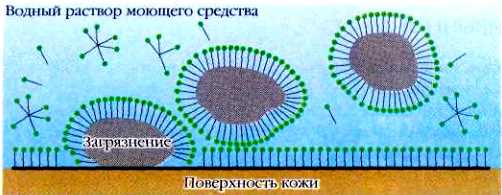 Физические и химические свойства натриевых солей натуральных жирных кислот