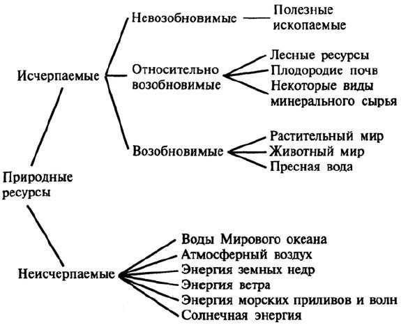 Национальные ресурсы общества: основные понятия