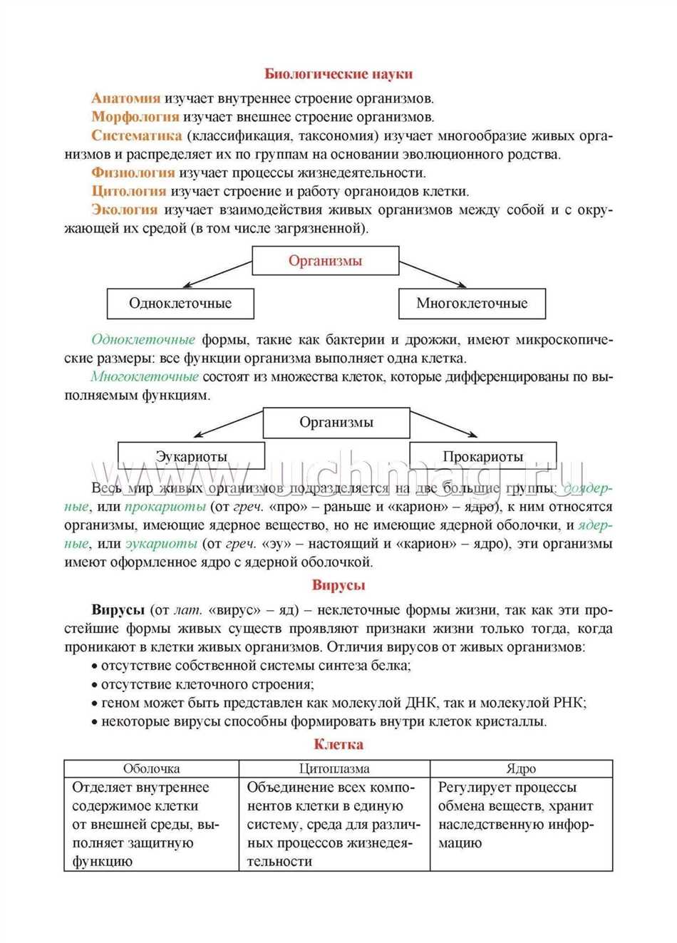 Примеры научных терминов в биологии: