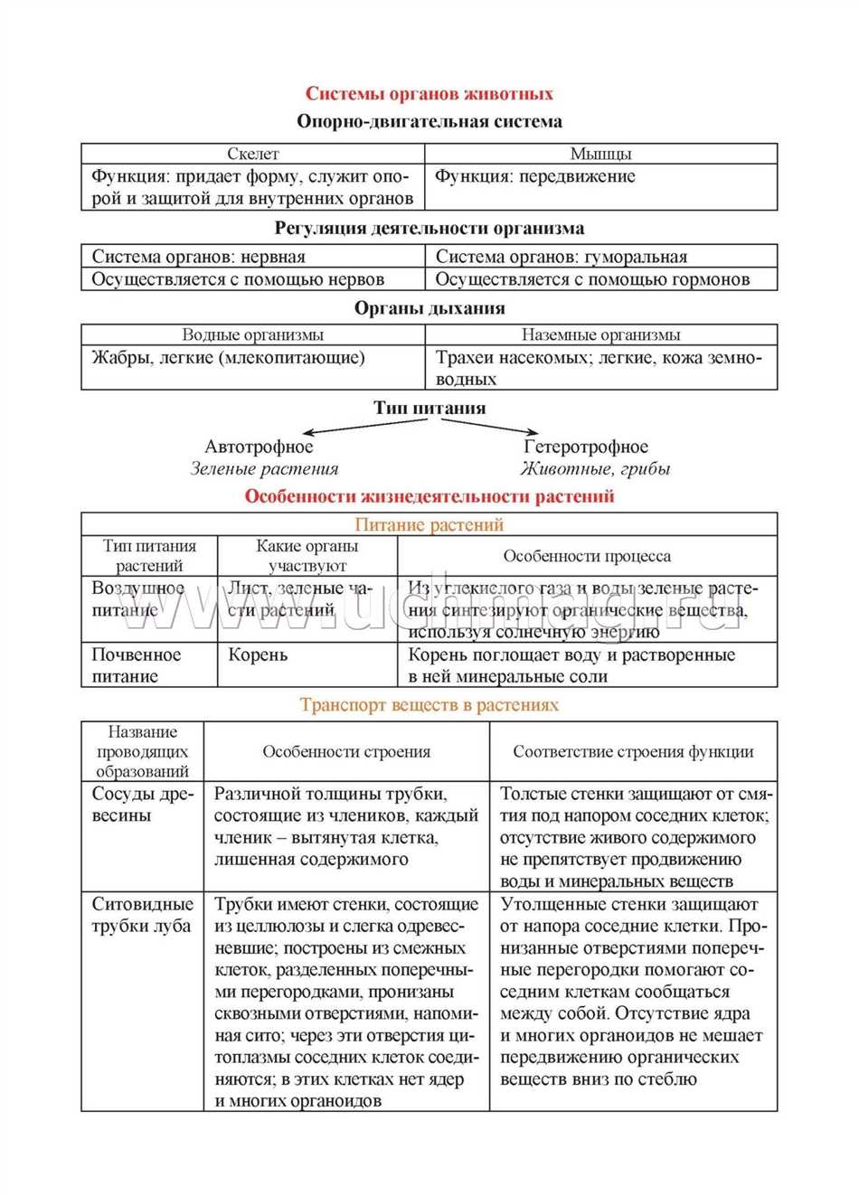 Научные термины в биологии: понятие и основные примеры