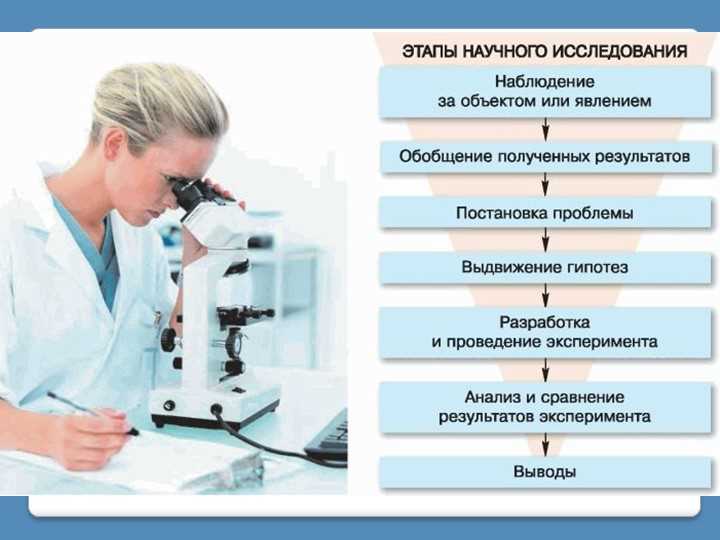 Научный эксперимент в биологии: понятие и особенности