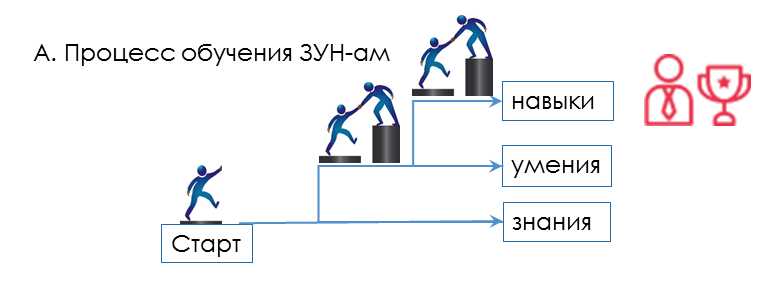 Навыки обучения: что это такое и зачем они нужны?