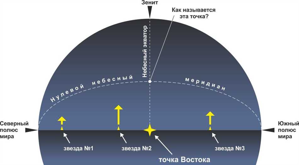 Как определить положение небесного экватора?