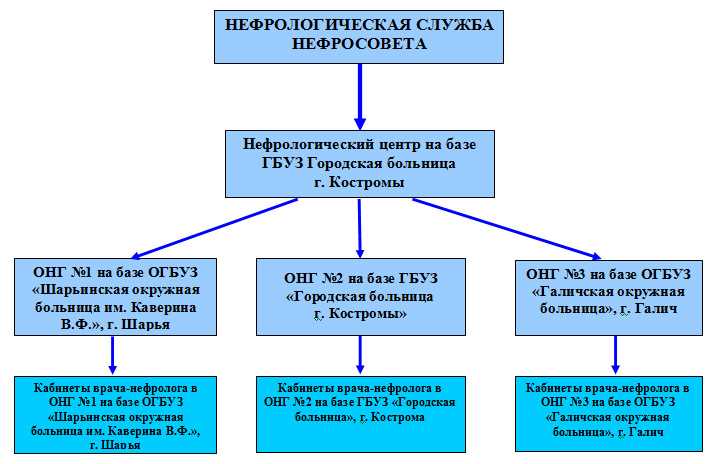 Лечение и процедуры, проводимые в нефрологическом отделении