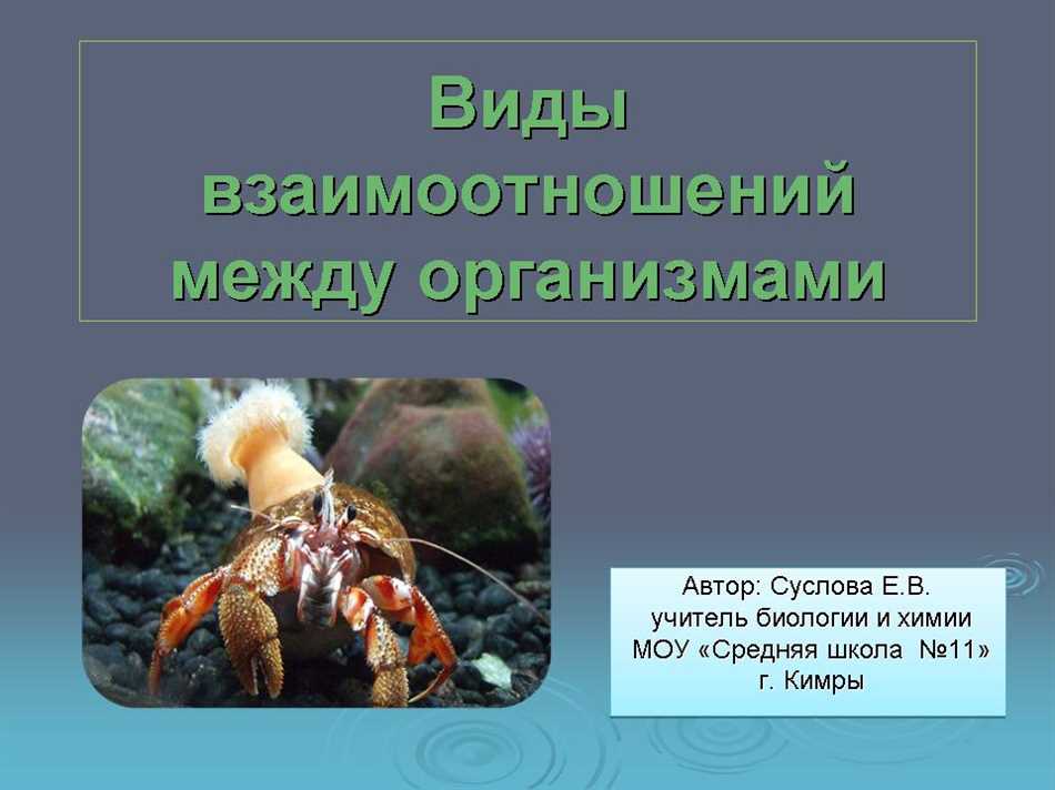 Нейтрализм в биологии: основные принципы и применение