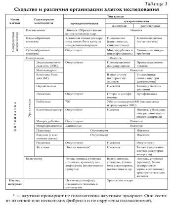 Происхождение неклеточной формы жизни