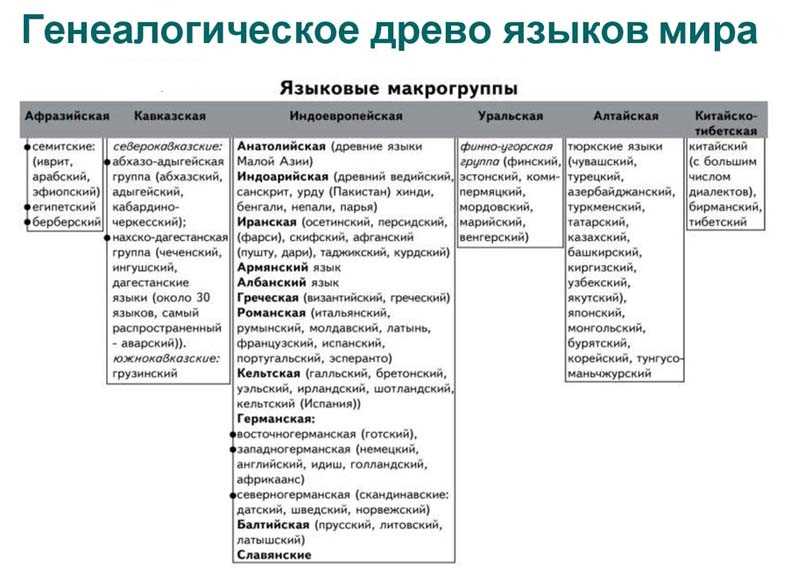 Неолитическая революция: начало, причины и место возникновения