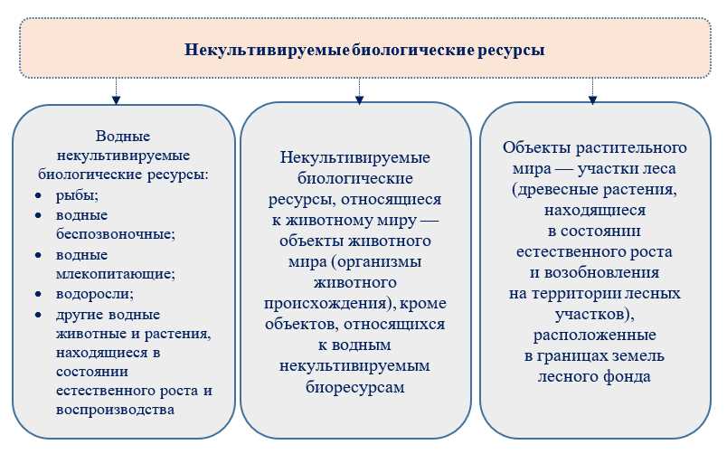 Непроизведенные нефинансовые активы: определение и особенности