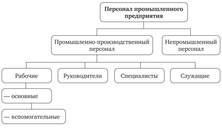 3. Компьютерные навыки