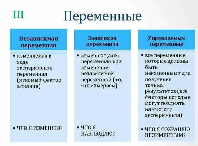 Независимая переменная в социологии: определение и роль