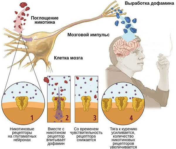 Последствия никотиновой интоксикации: