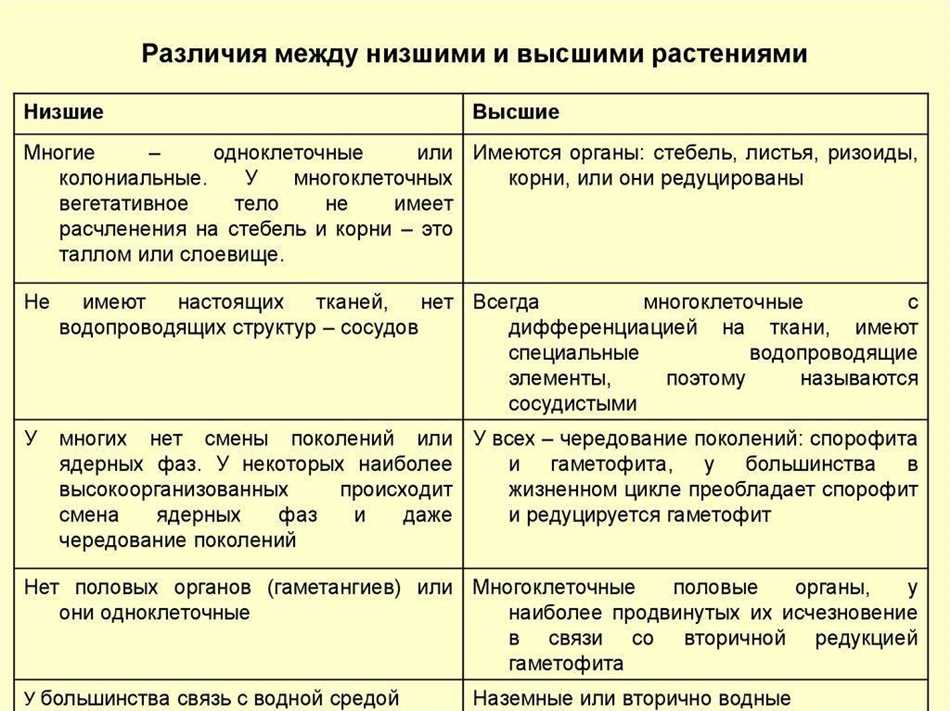 Высшие и низшие растения презентация