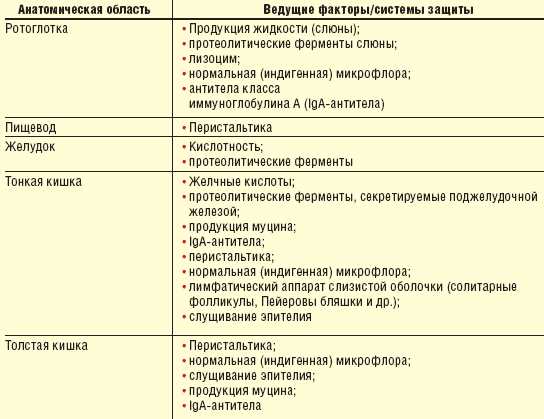 Нормофлора у женщин: суть и значение