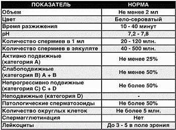 Нормозооспермия у мужчин: заключение и особенности