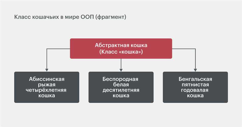 Объект в ООП: основные понятия и принципы