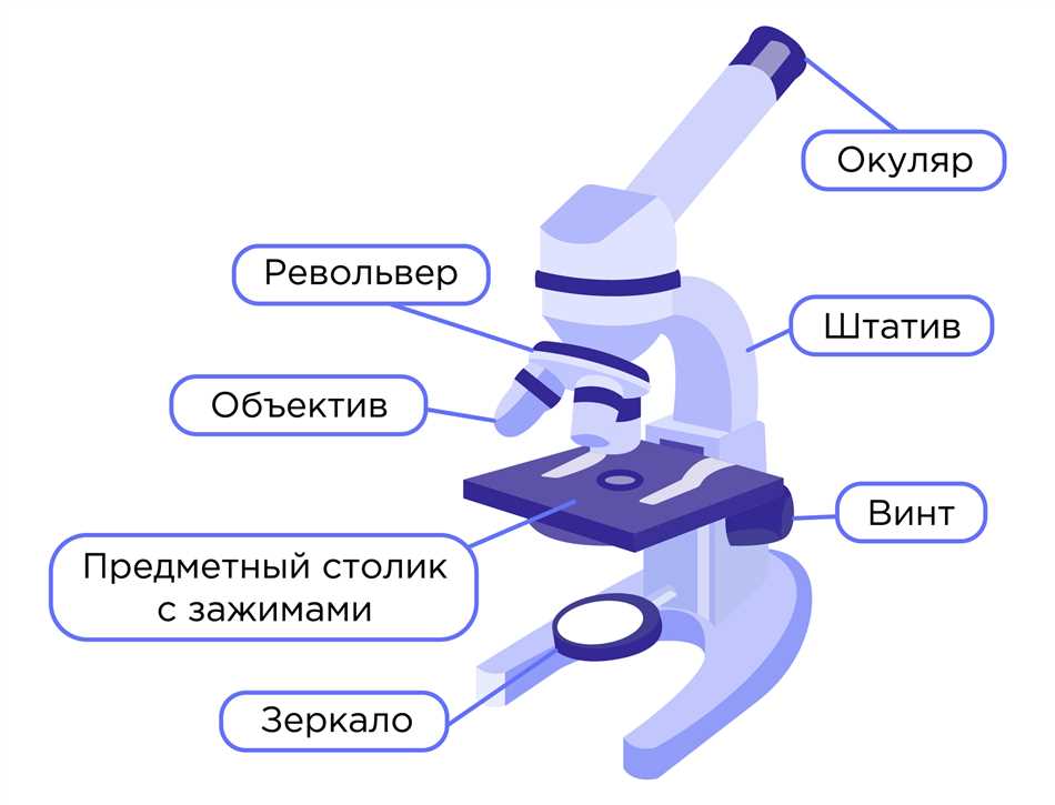 Объектив в микроскопе 5 класс биология: понятие и особенности