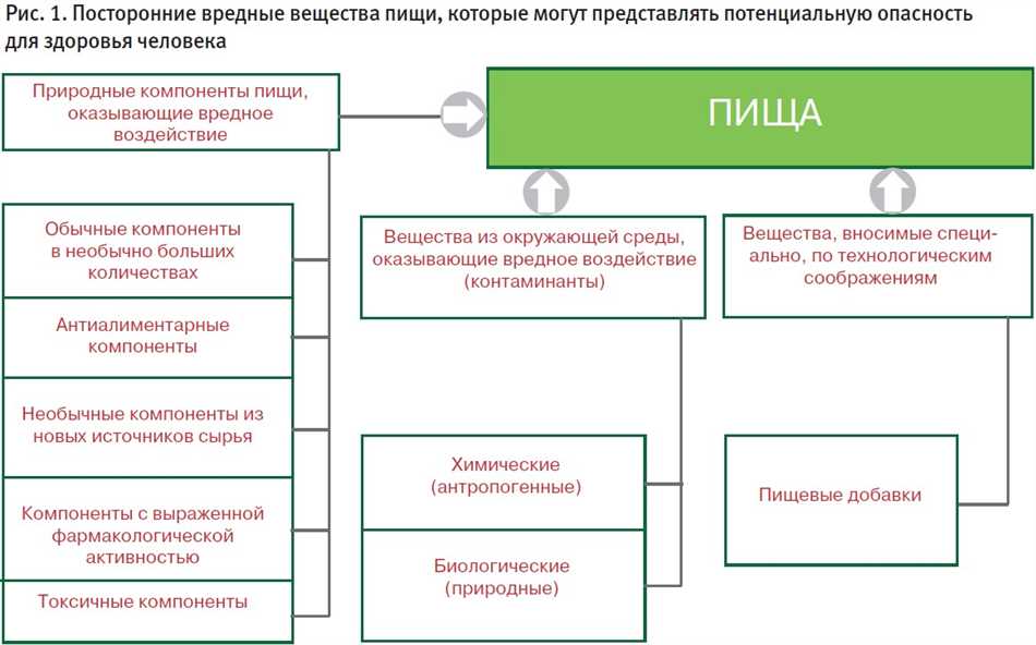 Значимость экологической безопасности для человека