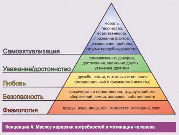 Обмен в маркетинге: понятие и принципы