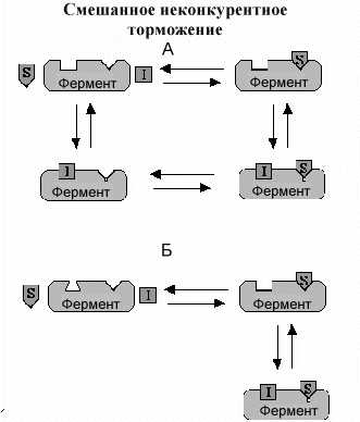 Обратимая денатурация: особенности и механизмы