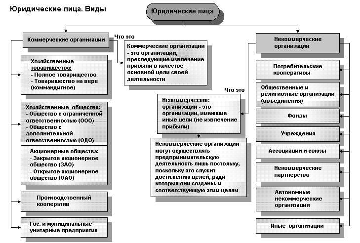 Юридические лица в схемах