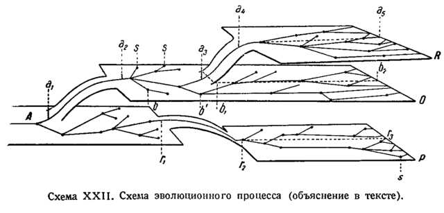 Диагностика общей дегенерации