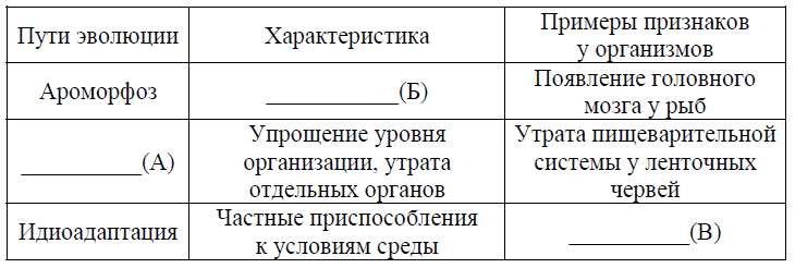 Общая дегенерация: понятие и особенности