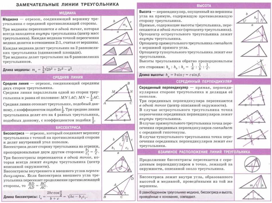 Общее свойство фигур: основные характеристики и классификация