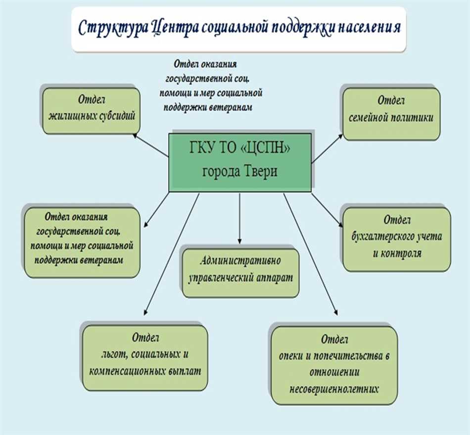 Общероссийская общественная организация: определение и функции