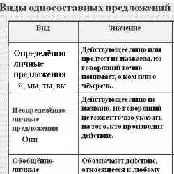 Односоставное неопределенно личное предложение: определение и примеры использования