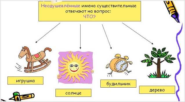 Основные характеристики неодушевленных предметов