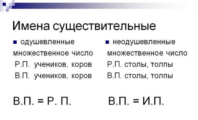 Одушевленные и неодушевленные предметы: основные характеристики и особенности