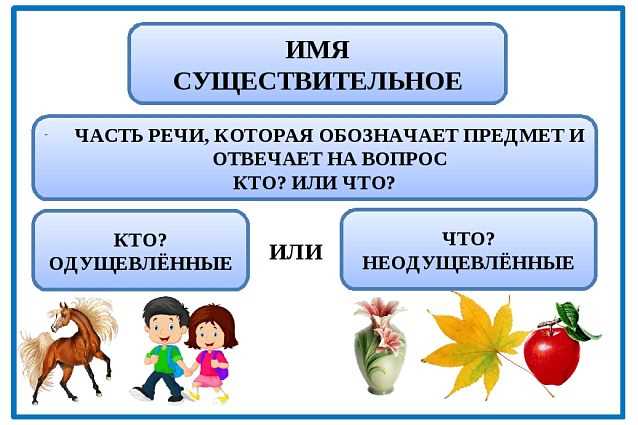 Одушевленные предметы в русской грамматике