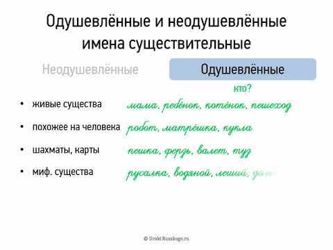 Одушевленные предметы в русском языке: понятие и примеры
