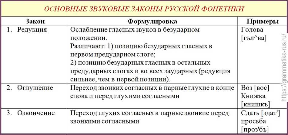 1. Ассимиляционная функция